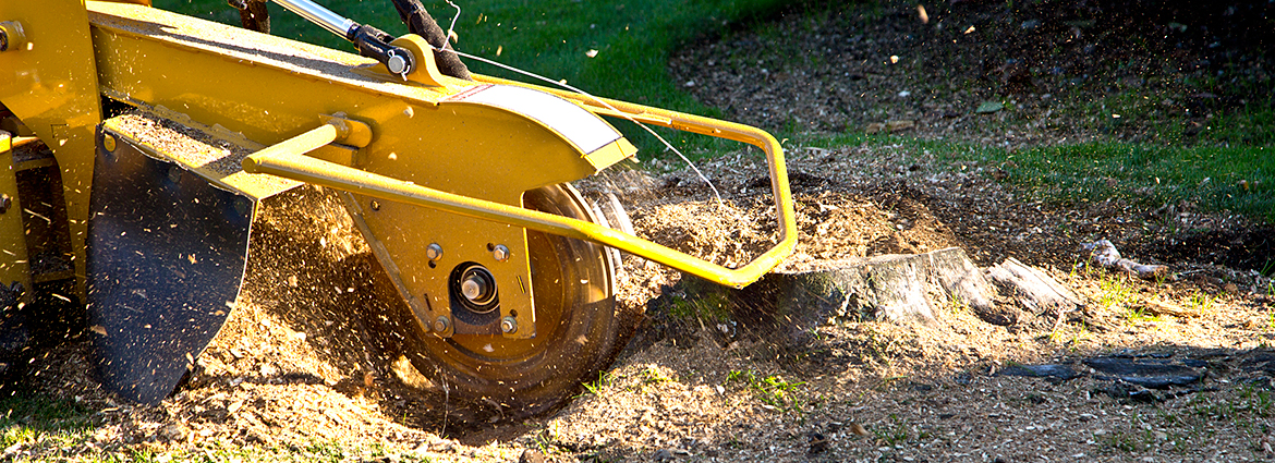 IL Stump Removal